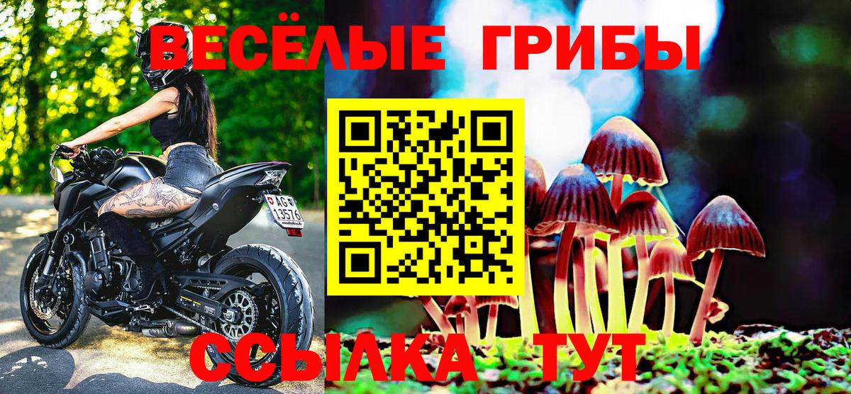 Мелеуз  Псилоцибиновые грибы мицелий  Вход с VPN  купить наркотики сайты  Псилоцибиновые грибы мухоморы 